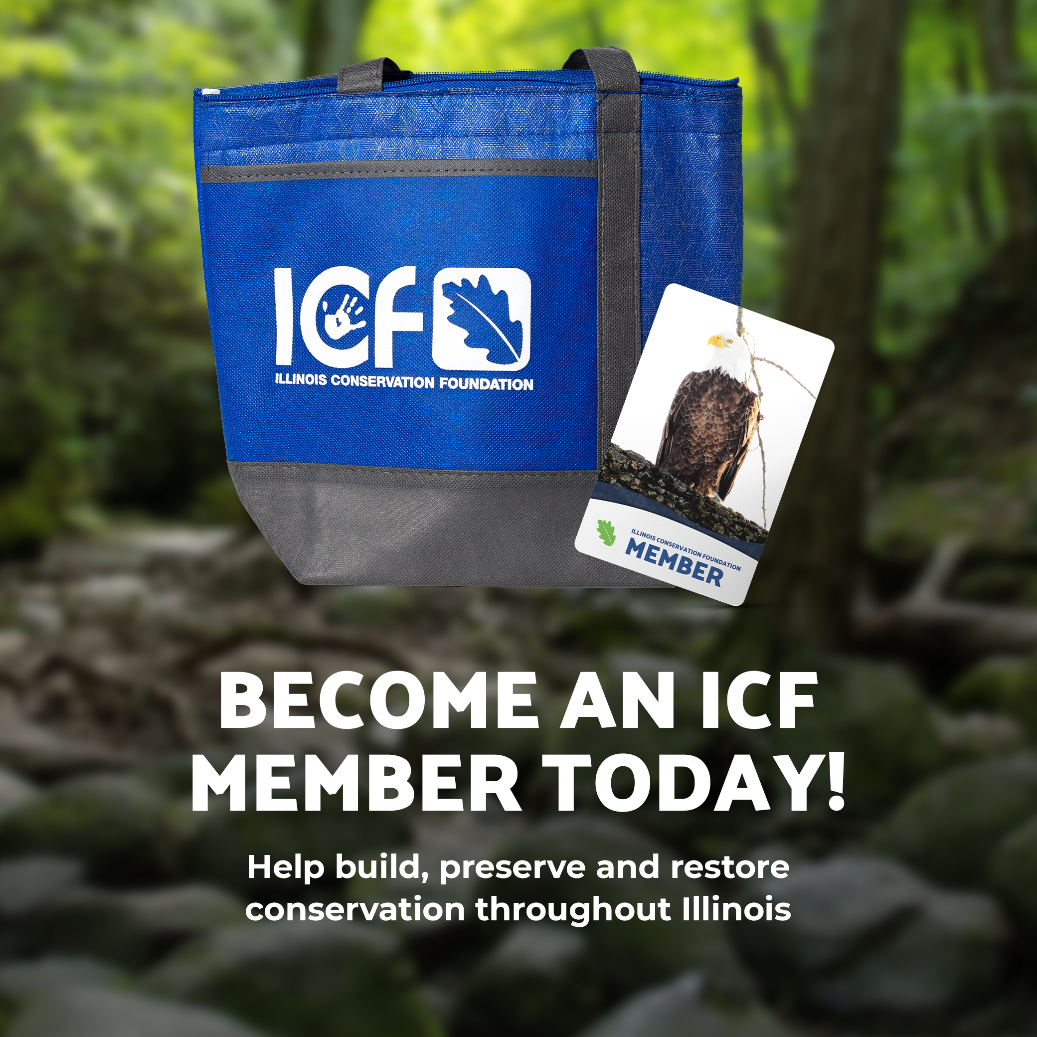 Become an ICF member today help build, preserve and restore conservation throughout Illinois